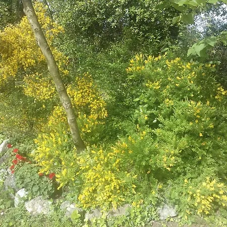 Ada Couette-café 4*