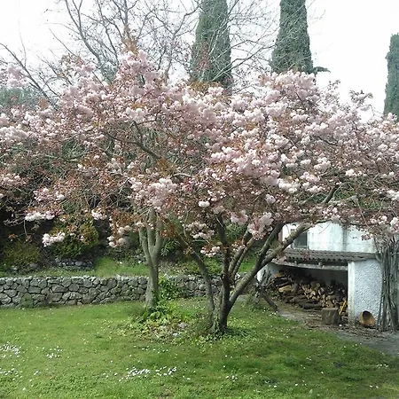 Ada Bed & Breakfast 4*