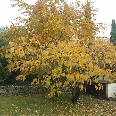 Ada Bed & Breakfast 4*