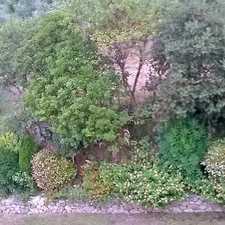 Ada Bed & Breakfast Formia