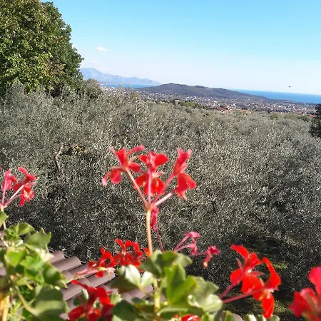 Ada Bed & Breakfast 4*