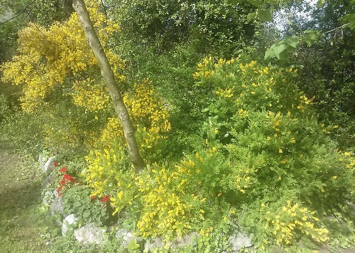 Ada Bed and Breakfast 4*