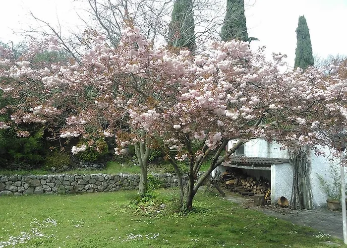 Ada Bed and Breakfast 4*