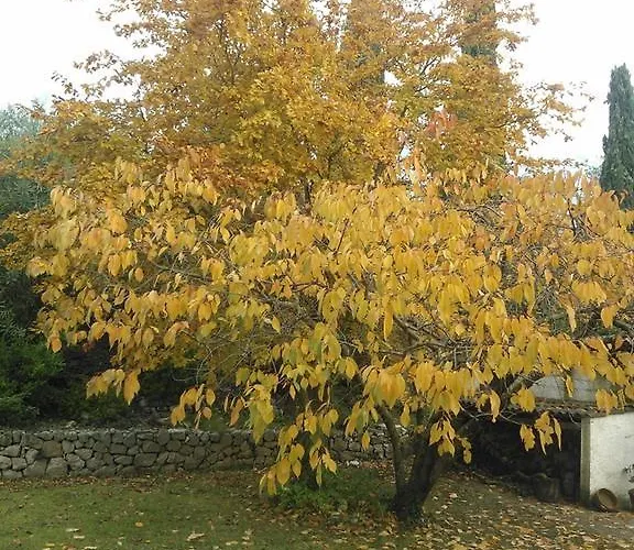 Ada Bed and Breakfast 4*