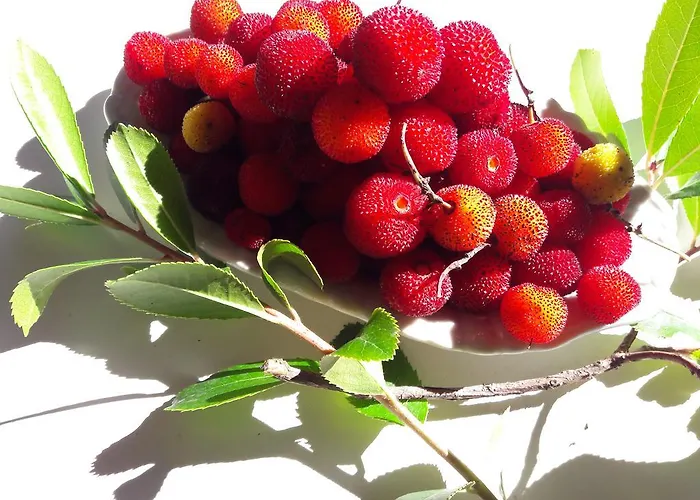 Ada Bed and Breakfast