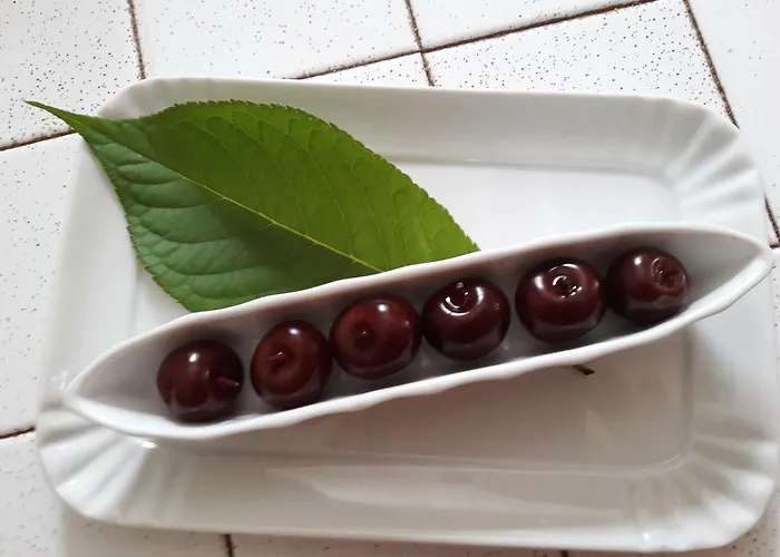 Bed and Breakfast Ada